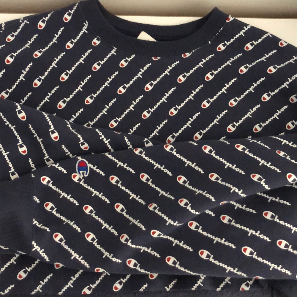 champion cropped sweatshirt